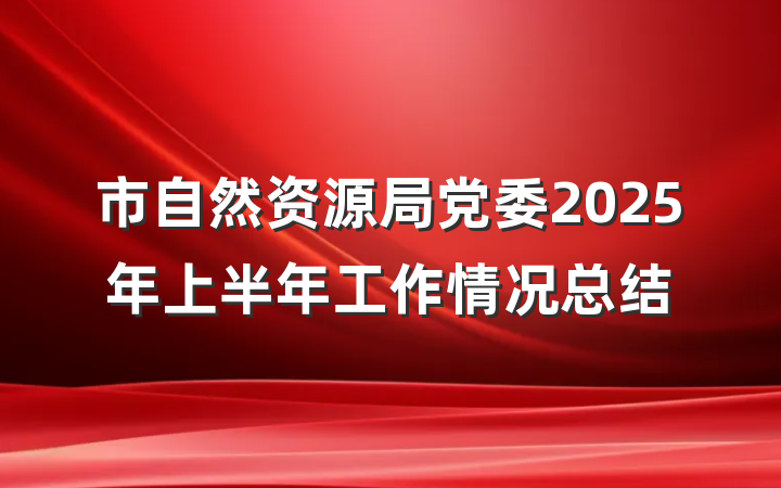 市自然资源局党委2025年上半年工作情况总结