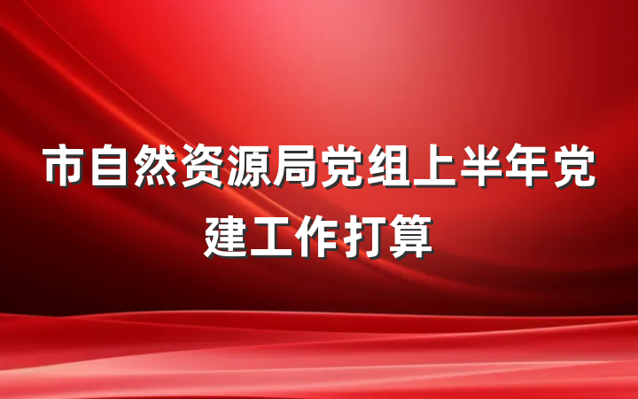 市自然资源局党组上半年党建工作打算