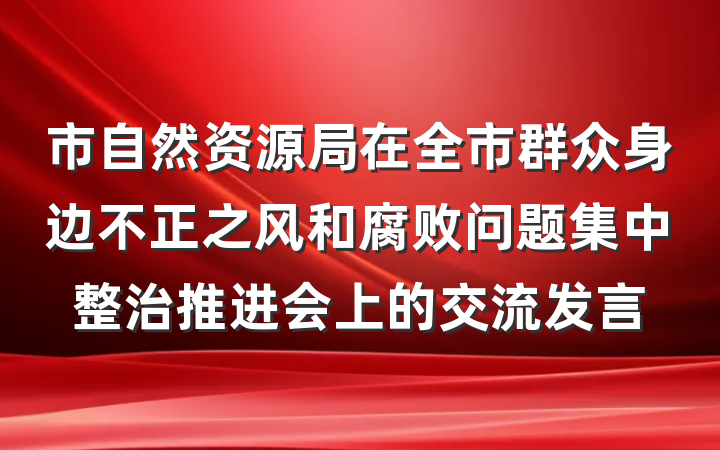市自然资源局在全市群众身边不正之风和腐败问题集中整治推进会上的交流发言