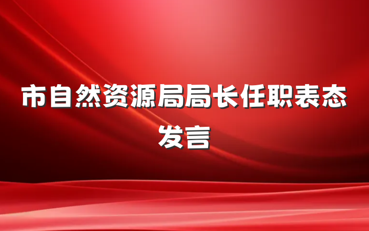 市自然资源局局长任职表态发言