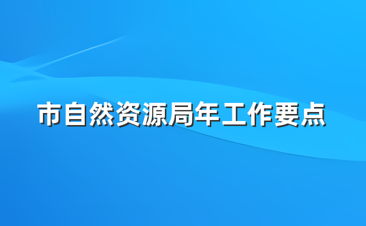 市自然资源局年工作要点