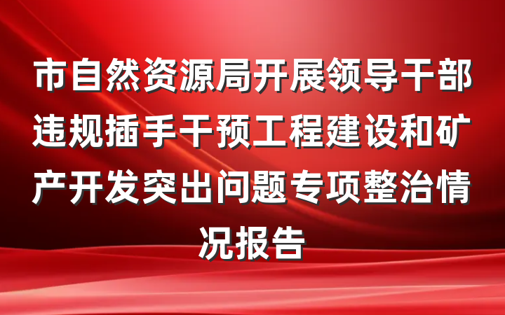市自然资源局开展领导干部违规插手干预工程建设和矿产开发突出问题专项整治情况报告