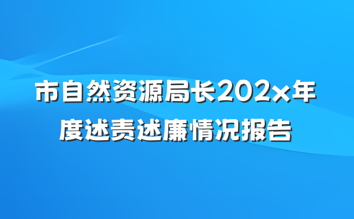 市自然资源局长202x年度述责述廉情况报告