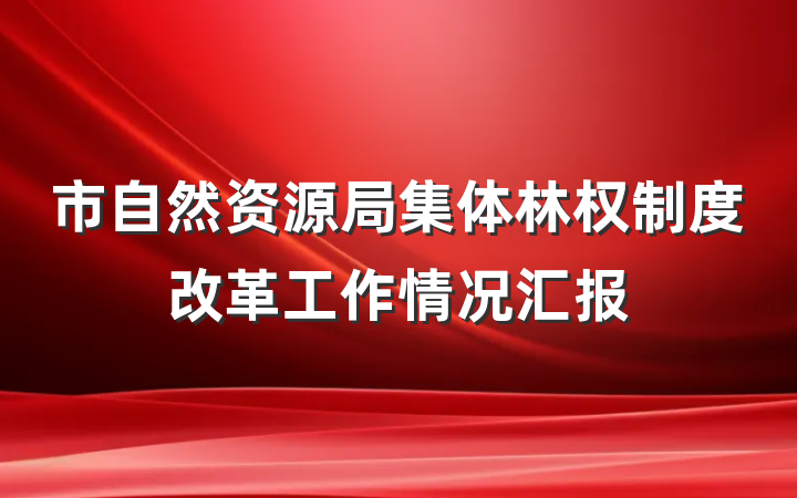 市自然资源局集体林权制度改革工作情况汇报