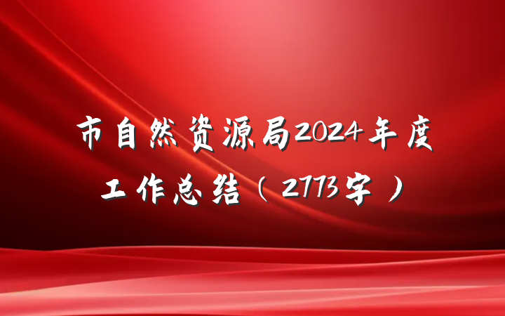 市自然资源局2024年度工作总结（2773字）
