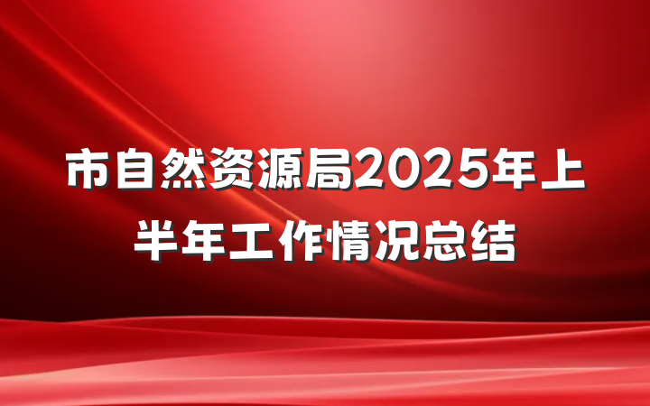 市自然资源局2025年上半年工作情况总结