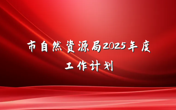 市自然资源局2025年度工作计划