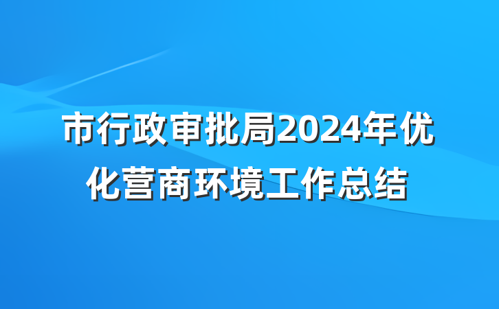 市行政审批局2024年优化营商环境工作总结