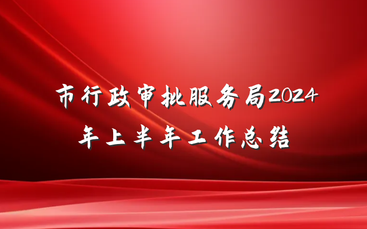 市行政审批服务局2024年上半年工作总结