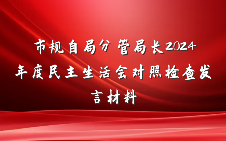 市规自局分管局长2024年度民主生活会对照检查发言材料