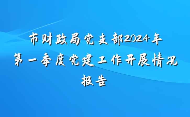 市财政局党支部2024年第一季度党建工作开展情况报告