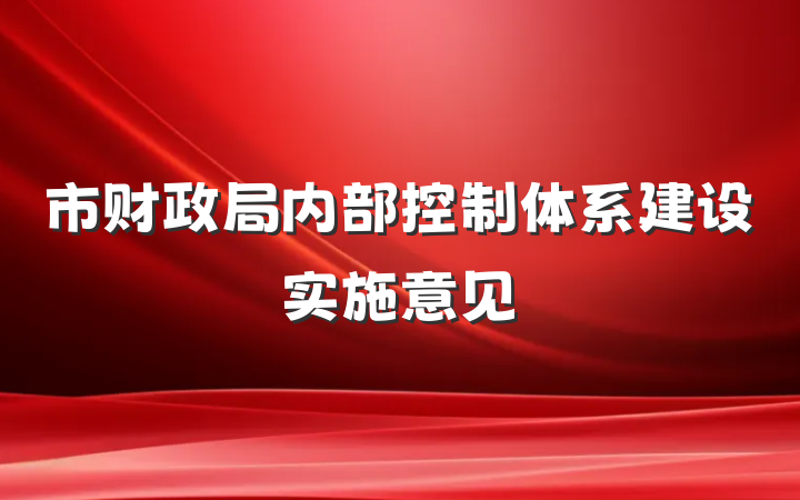 市财政局内部控制体系建设实施意见