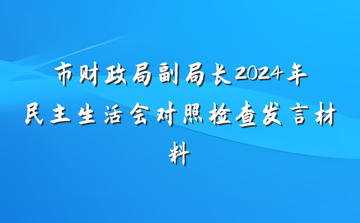 市财政局副局长2024年民主生活会对照检查发言材料