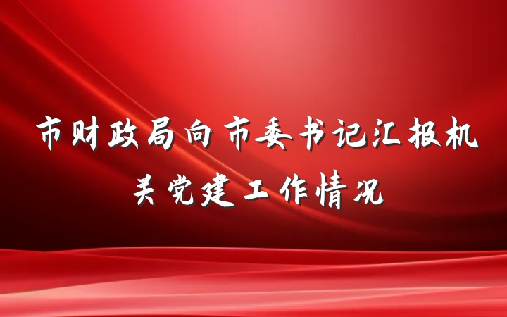 市财政局向市委书记汇报机关党建工作情况