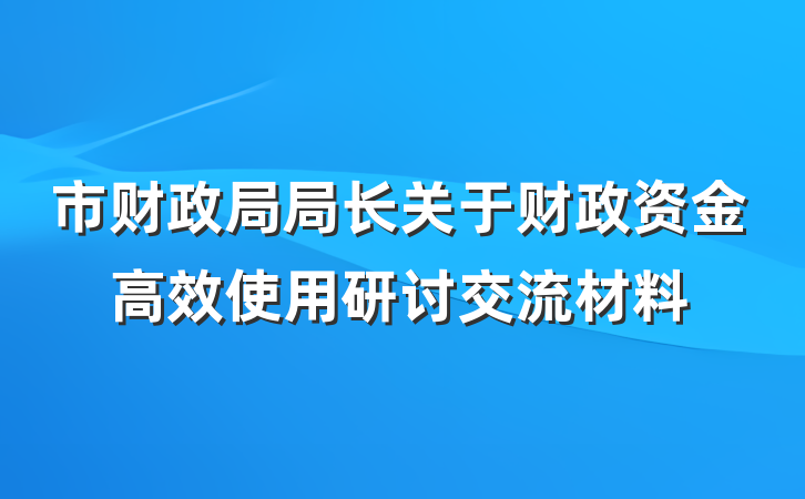 市财政局局长关于财政资金高效使用研讨交流材料