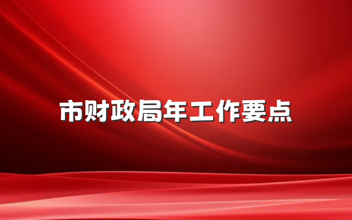市财政局年工作要点