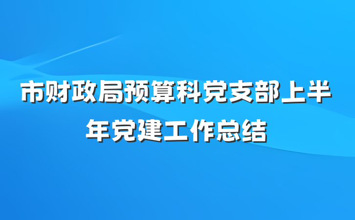 市财政局预算科党支部上半年党建工作总结