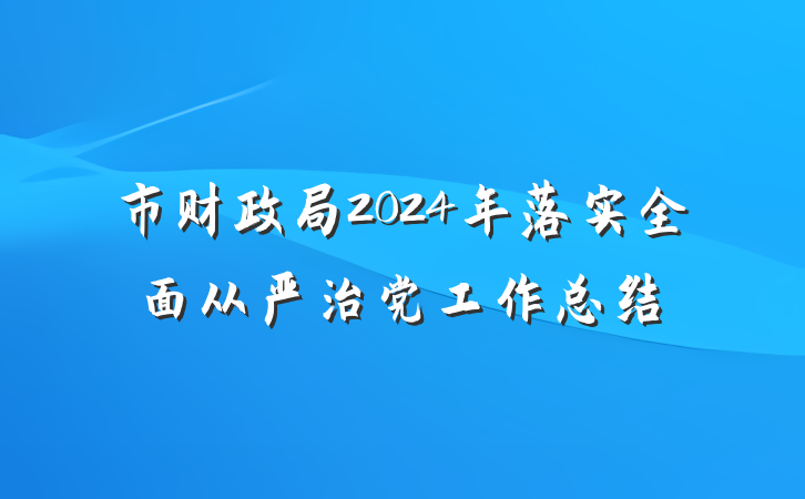 市财政局2024年落实全面从严治党工作总结