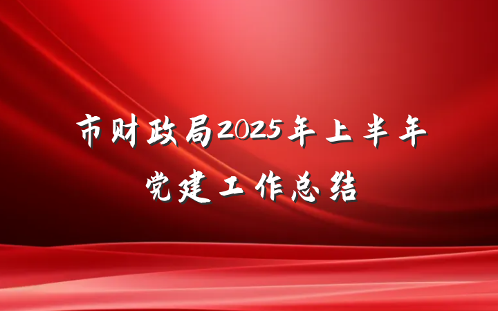市财政局2025年上半年党建工作总结