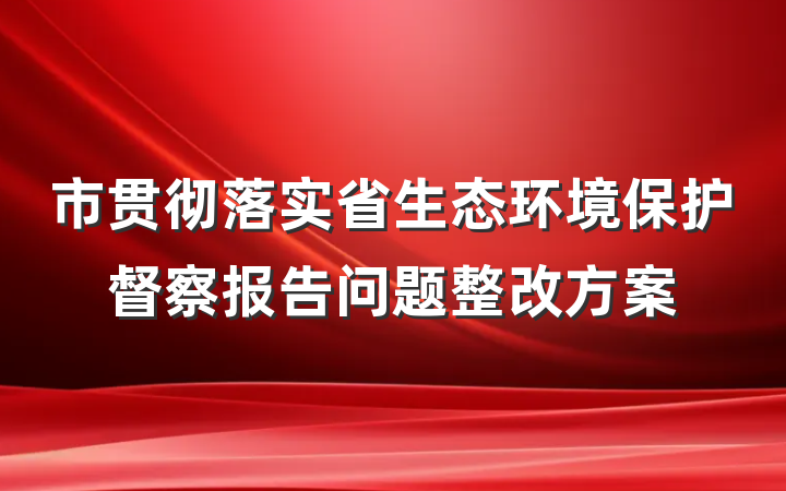 市贯彻落实省生态环境保护督察报告问题整改方案