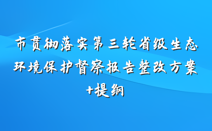 市贯彻落实第三轮省级生态环境保护督察报告整改方案 提纲