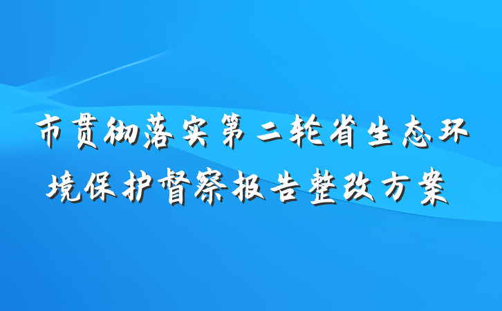 市贯彻落实第二轮省生态环境保护督察报告整改方案