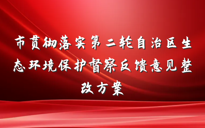 市贯彻落实第二轮自治区生态环境保护督察反馈意见整改方案
