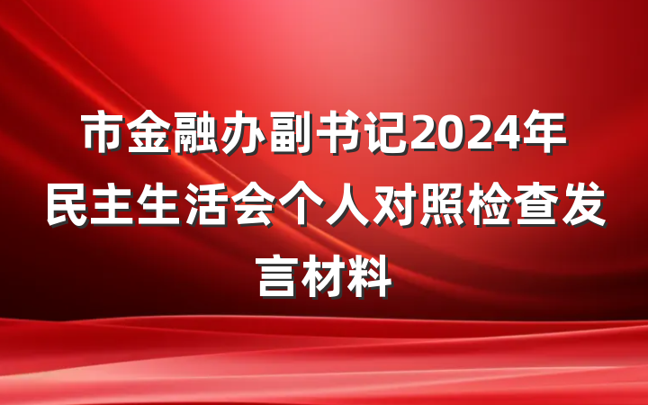 市金融办副书记2024年民主生活会个人对照检查发言材料