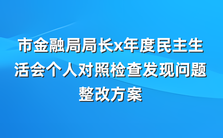 市金融局局长x年度民主生活会个人对照检查发现问题整改方案