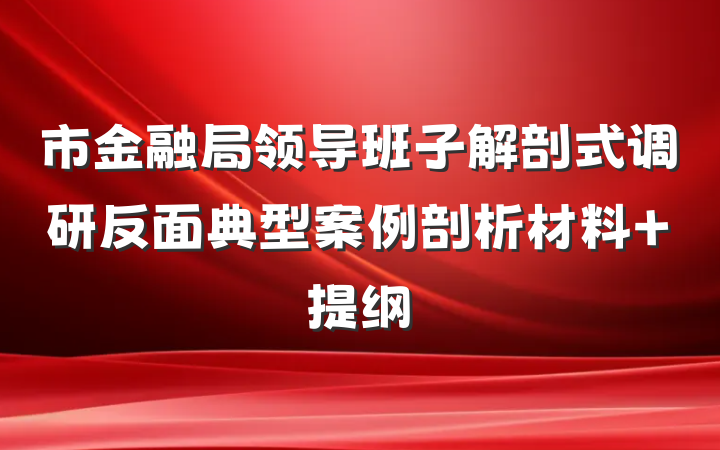 市金融局领导班子解剖式调研反面典型案例剖析材料 提纲