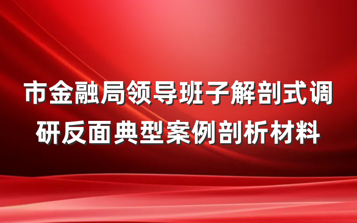 市金融局领导班子解剖式调研反面典型案例剖析材料