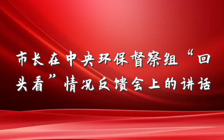 市长在中央环保督察组“回头看”情况反馈会上的讲话