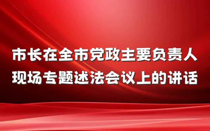 市长在全市党政主要负责人现场专题述法会议上的讲话