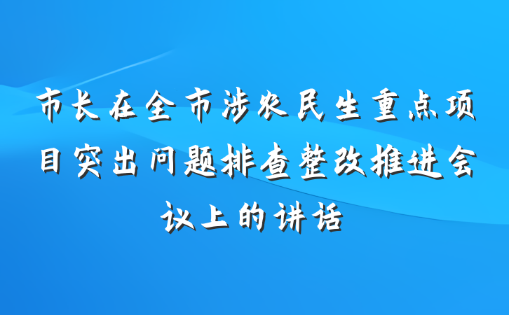 市长在全市涉农民生重点项目突出问题排查整改推进会议上的讲话