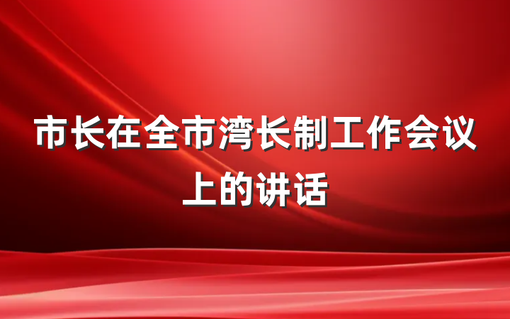 市长在全市湾长制工作会议上的讲话