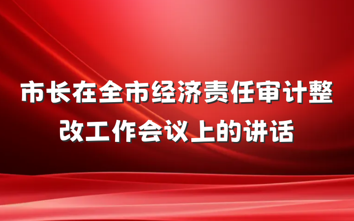市长在全市经济责任审计整改工作会议上的讲话