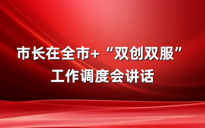 市长在全市 “双创双服”工作调度会讲话