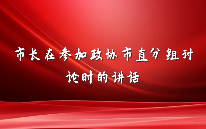 市长在参加政协市直分组讨论时的讲话