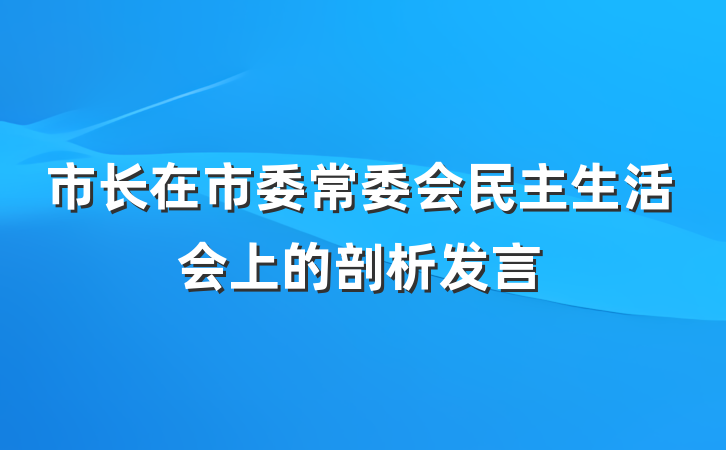 市长在市委常委会民主生活会上的剖析发言
