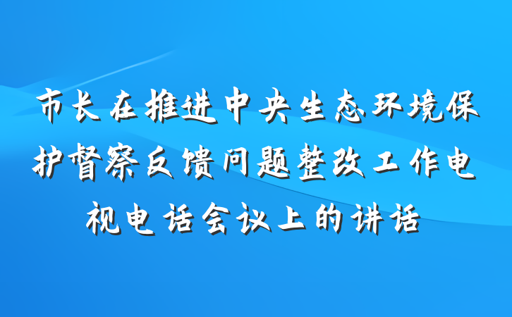 市长在推进中央生态环境保护督察反馈问题整改工作电视电话会议上的讲话