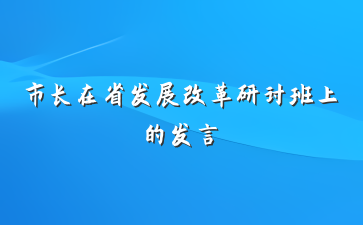 市长在省发展改革研讨班上的发言