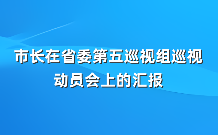 市长在省委第五巡视组巡视动员会上的汇报