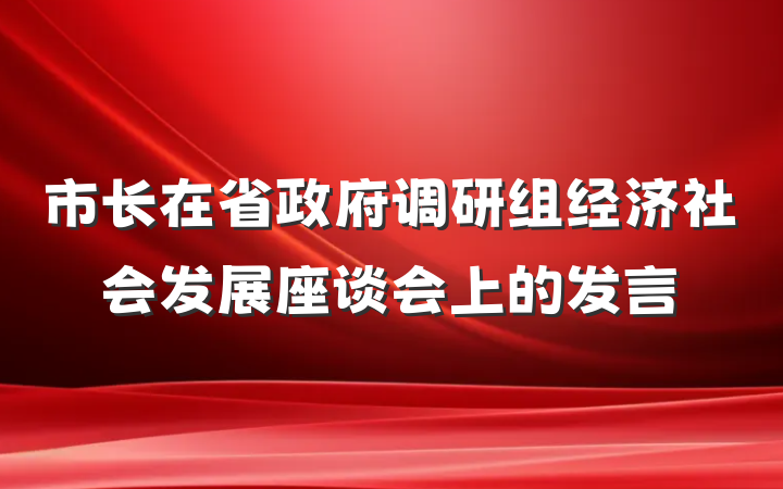 市长在省政府调研组经济社会发展座谈会上的发言