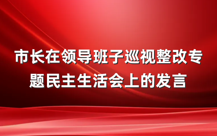 市长在领导班子巡视整改专题民主生活会上的发言