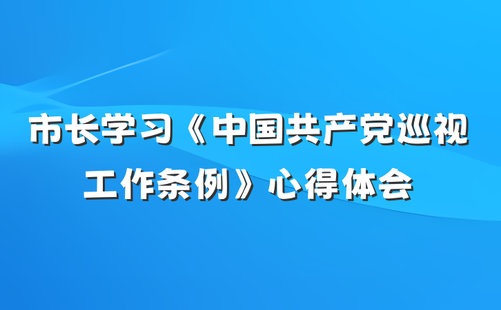市长学习《中国共产党巡视工作条例》心得体会