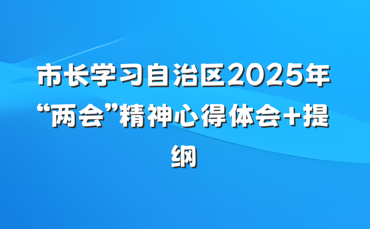 市长学习自治区2025年“两会”精神心得体会 提纲