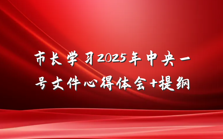 市长学习2025年中央一号文件心得体会 提纲