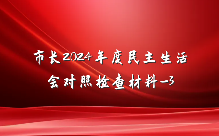 市长2024年度民主生活会对照检查材料-3