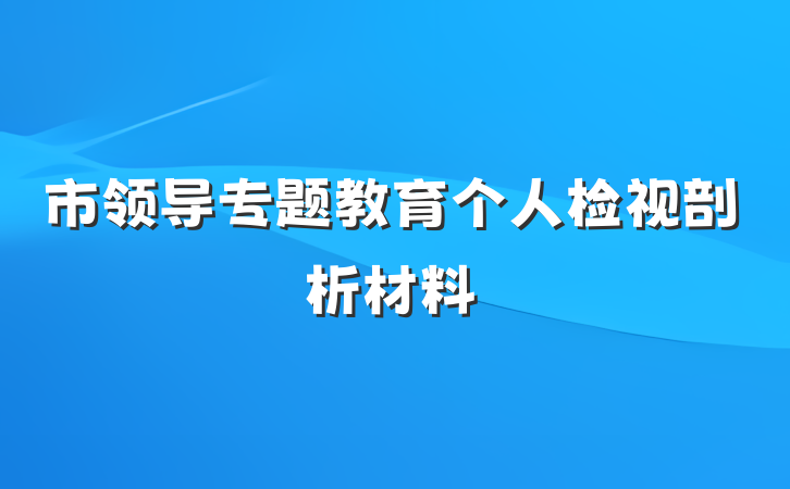 市领导专题教育个人检视剖析材料