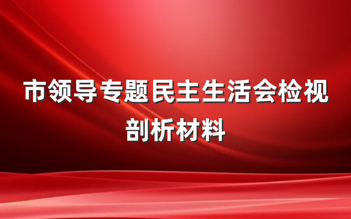 市领导专题民主生活会检视剖析材料